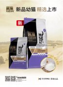爵加新品幼貓精選上市！